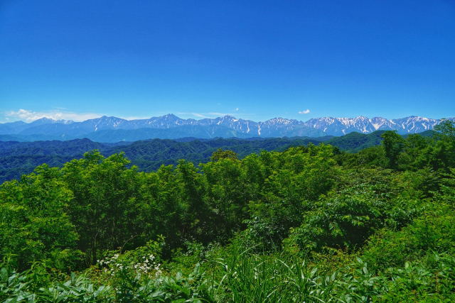 高尾山